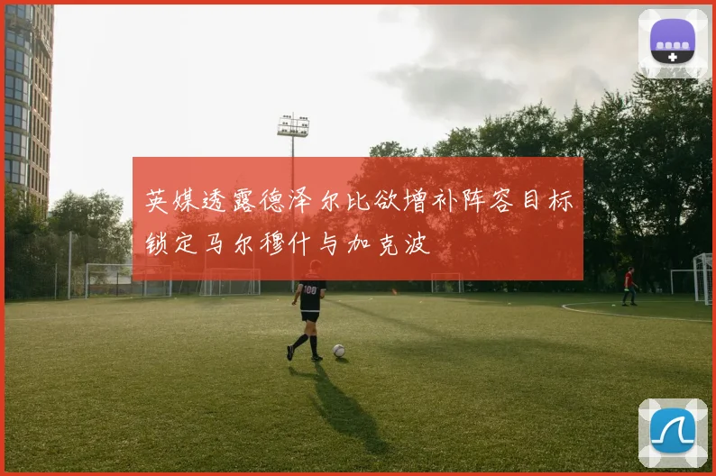 英媒透露德泽尔比欲增补阵容目标锁定马尔穆什与加克波