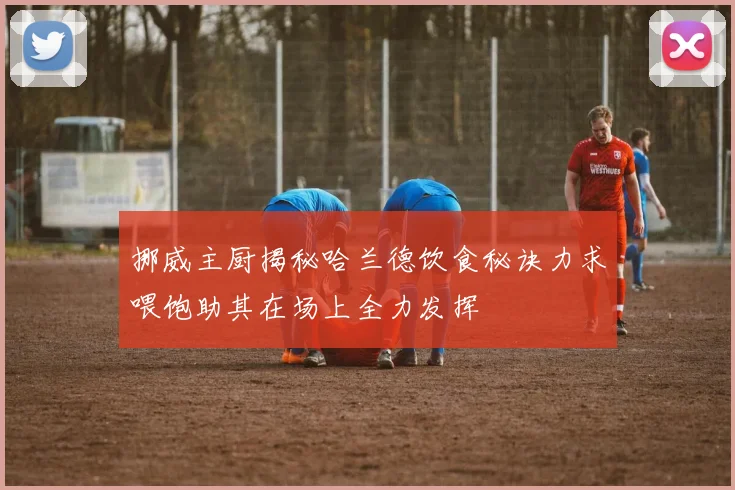 挪威主厨揭秘哈兰德饮食秘诀力求喂饱助其在场上全力发挥
